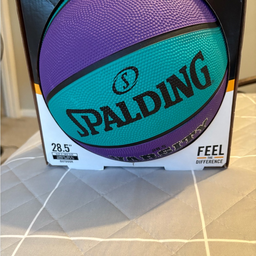 Spalding Teal and Purple Basketball